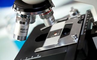 兩家企業(yè)獲得ipo批文,均曾因污染環(huán)境被罰