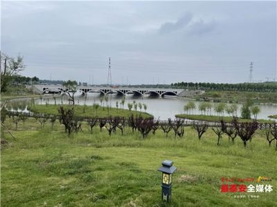 泰安市人民政府 今日泰安 楊洪濤到泰山區(qū)、岱岳區(qū)調(diào)研