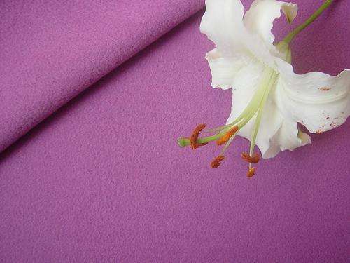 怎樣防止絨線織物起球