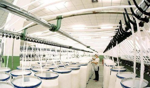 江蘇一個低調的小鎮 誕生2家世界500強企業,有一個營收達6900億