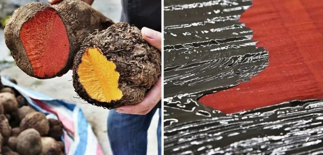 香云紗的制作過程以絲綢為胚,用野生薯莨汁染整,從桑蠶制絲到染整曬莨