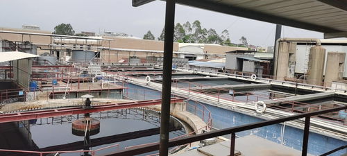 四類廢水排放均達標,紡織染整廠聘環保公司升級改造成功