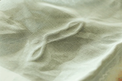 西樵紡織染整引領(lǐng)綠色智造，全國(guó)峰會(huì)大咖齊贊