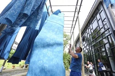 桐鄉(xiāng)藍(lán)印花布印染技藝 國(guó)家級(jí)非遺優(yōu)秀保護(hù)實(shí)踐的傳承與創(chuàng)新